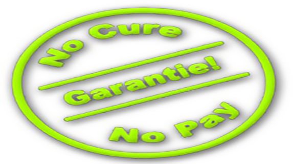 No Cure No Pay